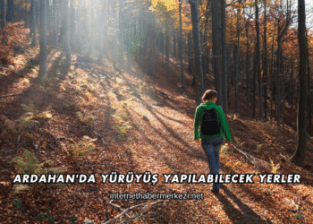 Ardahan'da Yürüyüş Yapılabilecek Yerler