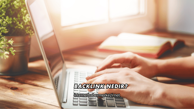 Backlink Nedir?