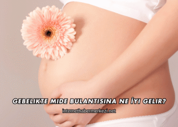 Gebelikte Mide Bulantısına Ne İyi Gelir?