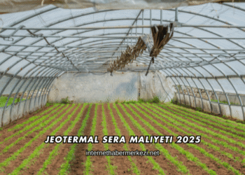 Jeotermal Sera Maliyeti 2025
