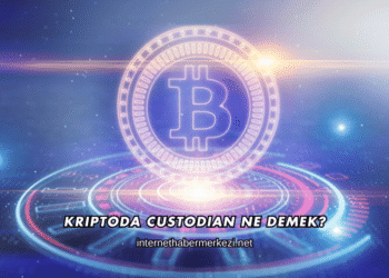 Kriptoda Custodian Ne Demek?