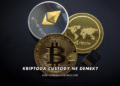 Kriptoda Custody Ne Demek?