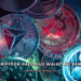 Kriptoda Daedalus Wallet Ne Demek?