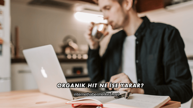 Organik Hit Ne İşe Yarar?
