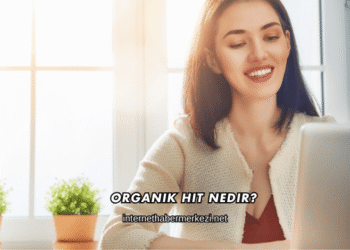 Organik Hit Nedir?