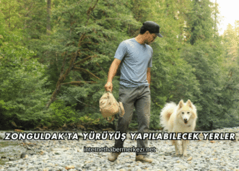 Zonguldak'ta Yürüyüş Yapılabilecek Yerler