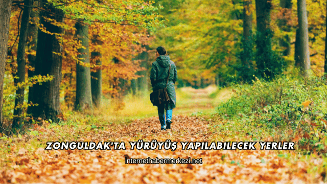 Zonguldak'ta Yürüyüş Yapılabilecek Yerler