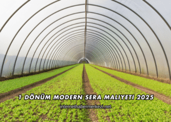 1 Dönüm Modern Sera Maliyeti 2025