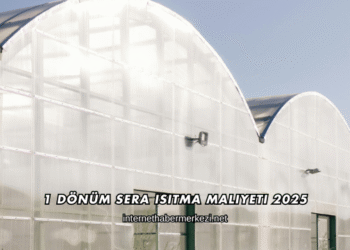 1 Dönüm Sera Isıtma Maliyeti 2025