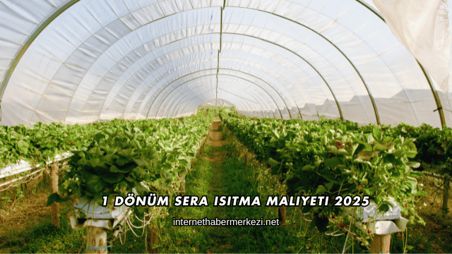 1 Dönüm Sera Isıtma Maliyeti 2025