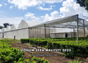 1 Dönüm Sera Maliyeti 2025