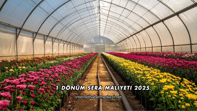 1 Dönüm Sera Maliyeti 2025