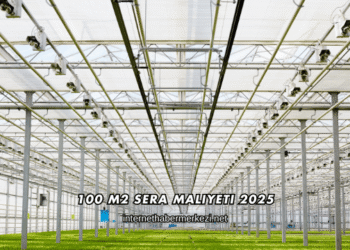 100 m2 Sera Maliyeti 2025