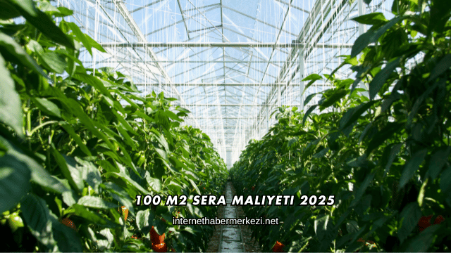 100 m2 Sera Maliyeti 2025