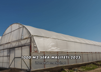 1000 M2 Sera Maliyeti 2025
