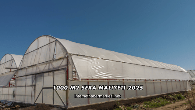 1000 M2 Sera Maliyeti 2025
