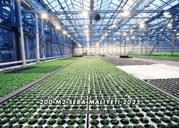 200 m2 Sera Maliyeti 2025