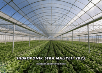Hidroponik Sera Maliyeti 2025