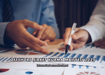 Offshore Şirket Kurma Maliyeti 2025