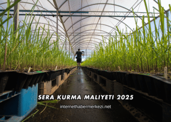 Sera Kurma Maliyeti 2025