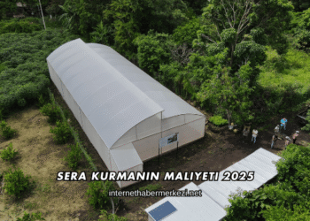 Sera Kurmanın Maliyeti 2025