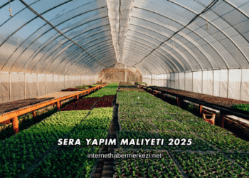 Sera Yapım Maliyeti 2025