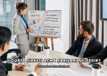 Sigorta Şirketi Açma Şartları Nelerdir?
