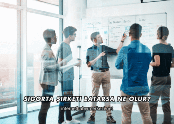 Sigorta Şirketi Batarsa Ne Olur?