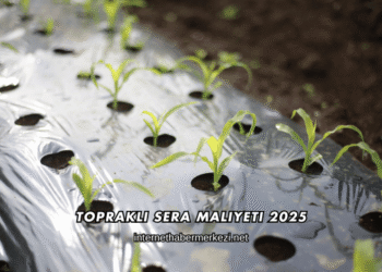 Topraklı Sera Maliyeti 2025